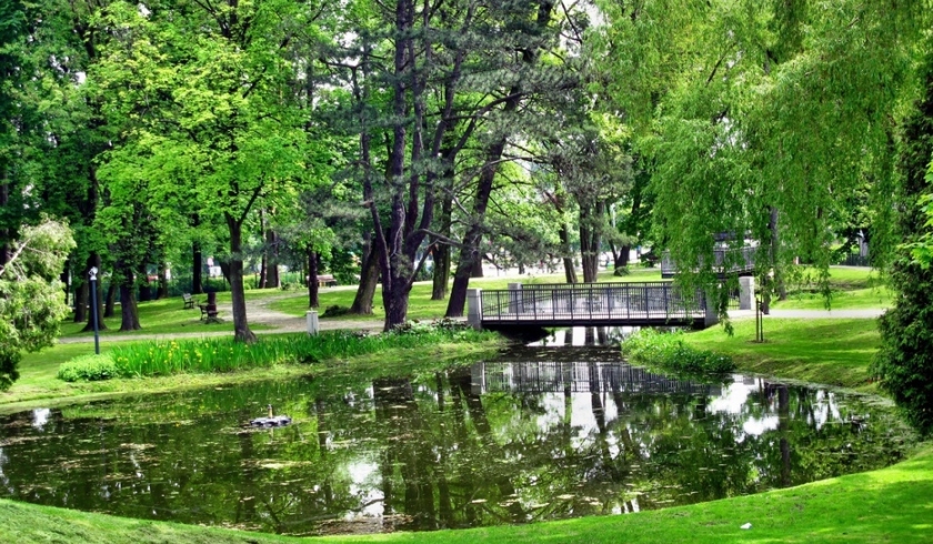 1293127_park-im-stanislawa-staszica